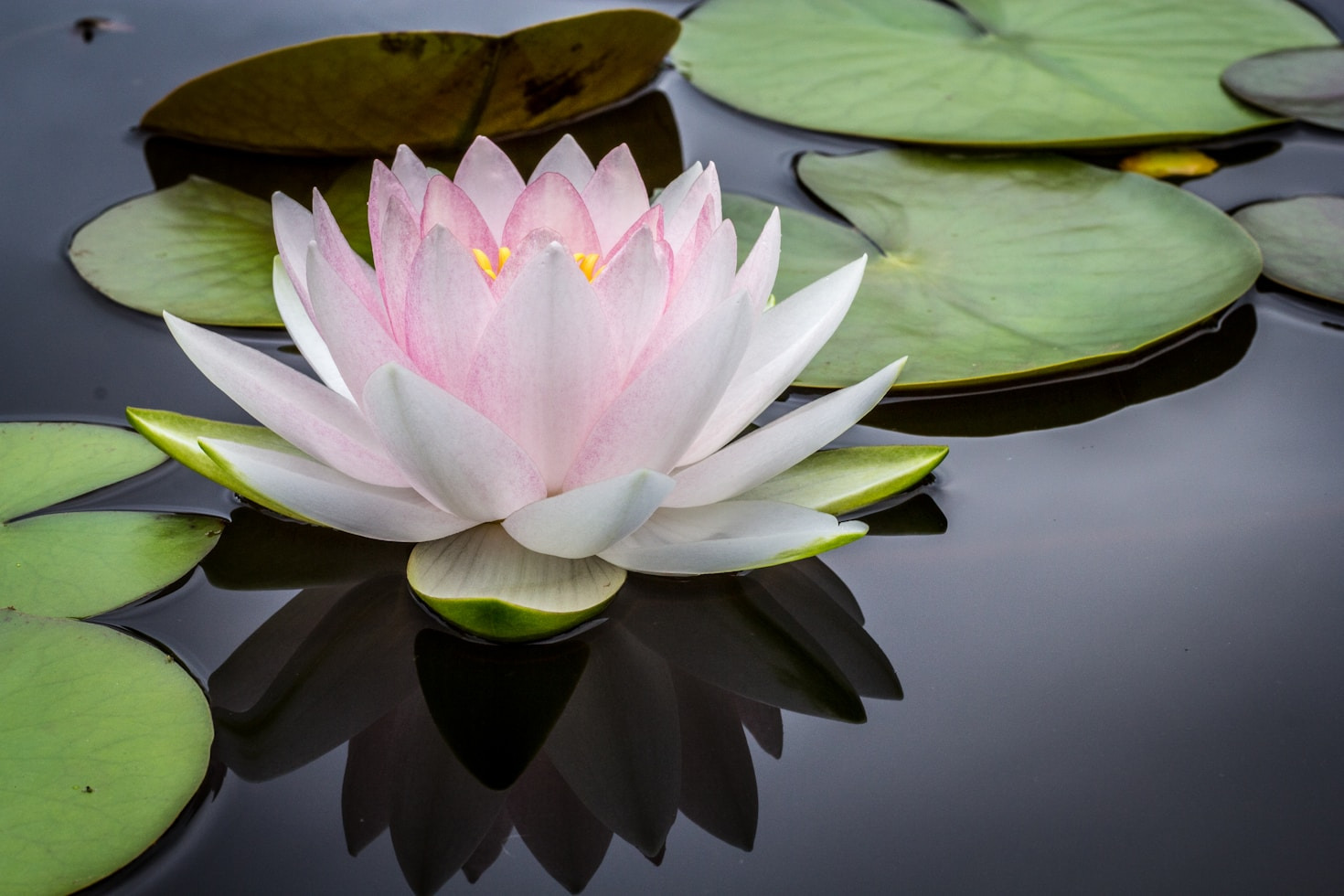 Chakra Balancing Techniques Everyone Should Know